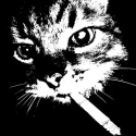 Avatar de naimm233k
