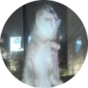 Avatar de ztample
